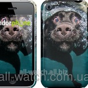 Чехол на iPhone 3Gs Смешной плавающий пёс “147c-34“ фотография