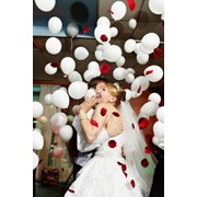 Свадебное оформление, оригинальное оформление воздушными шарами, Киев, Киев