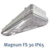 Magnum FS 30 IP65 фото