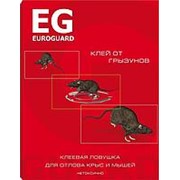 Клеевая ловушка ЕВРО ГАРД, от грызунов, картон [У] фотография