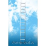 Лестницы односекционные приставные фото