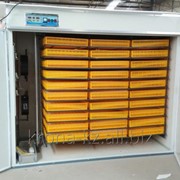 Инкубатор на 2640 куриных яиц фото