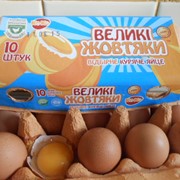 Яйца куриные КоКо-10-к. С1