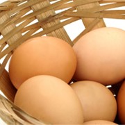 Яйца куриные диетические фотография