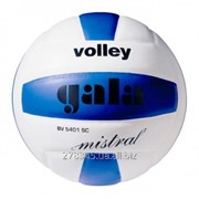 Мяч волейбольный Gala Mistral BV 5401SCE фотография