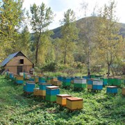 Товары пчеловодства