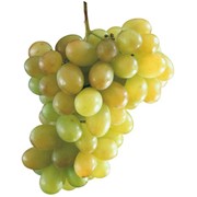 Концентрированный сок белого винограда 65% фото