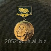 Медаль на колодке Лауреат премии Григория Сковорода фото