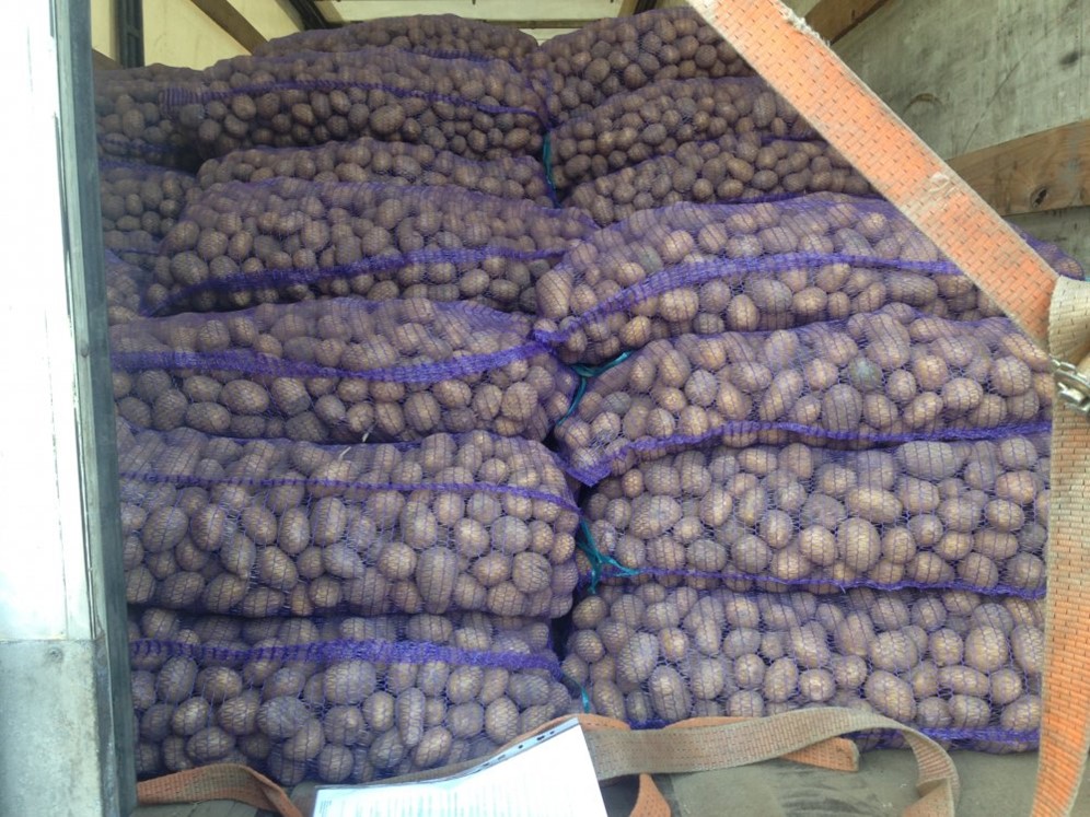 Производитель оптом беларусь. Минск картошка. Wholesale sale of Potatoes.