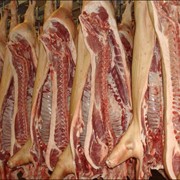 Свежее мясо свинины фотография