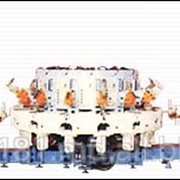 Автоматическая линия модель Б2С/14Е-01 для изготовления обуви с текстильным верхом фото