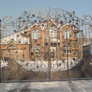 Ворота кованые Николаев, Одесса, Херсон фото