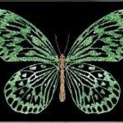 Картина Зеленая бабочка с кристаллами Swarovski (2376) фотография