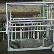 Станок для обработки копыт СК-1 фото