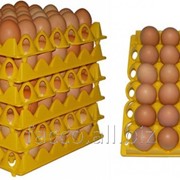 Пластиковые лотки для яиц фото