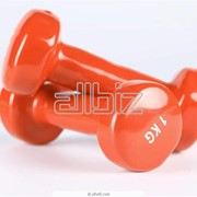 Услуги спортивных клубов фото