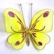 Бабочка средняя желтая 19*13 см фото