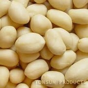 We can offer from Argentina Blanched Peanut (бланшированный арахис) 38/42-40/50-50/60. Packaging: 25, 50,1000, 1250kg polybags. High quality, good prices. фото
