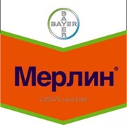 Гербицид Мерлин 75% Байер 0,5 л фото