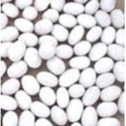 Семена фасоли белая круглая расфасовка полипропиленовые мешки по 25 кг