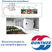 Воздухоохладитель для овощей и фруктов фото
