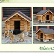 Деревянные будки для собак фото