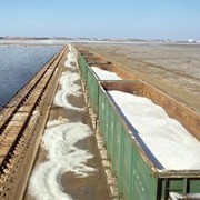 Соль техническая на экспорт, недорого, Димиор фотография