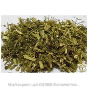 Болиголов пятнистый (Conium maculatum, herba Poison hemlock) трава 100 грамм фото