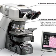 Микроскопы биологические Nikon фото
