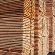 Доски из твердых пород древесины, купить в Житомире, Экспорт фотография