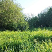 Участок 5.96 сотки Покровская Гатчина фото