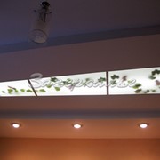 Декоративные потолки с растительнымоформлением фото