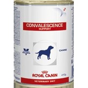 Convalescence dog can Royal Canin корм, Банка, 0,410кг фото