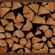 Дубовые дрова фотография