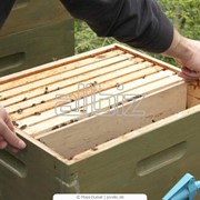 Держатель катушки для пчеловодства