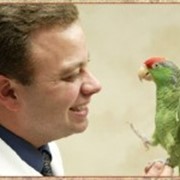 Ветеринарные препараты для птицы фото