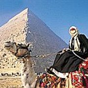 Услуги туристические, Египет фото