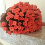 Букет из 101 розы! фото