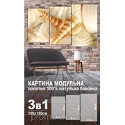 Модульна картина на полотні Морські мушлі код КМ100160-096 фото