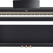 Цифровое пианино Yamaha YDP-162PE фотография
