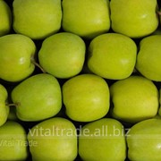 Яблоки Мутсу (Mutsu)