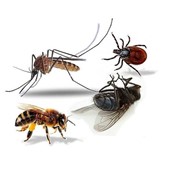 Уничтожение клещей, комаров, мух, ос Великий Новгород фото