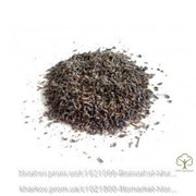 Лаванда узколистная (Lavandula officinalis, flos Lavender) цветки 100 грамм фото