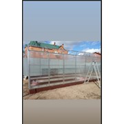 Теплица 026 Эргостиль фото
