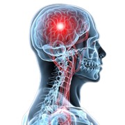 Консультации невропатолога Винница Харьков Киев Днепропетровск фото