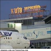 Таможенное оформление грузов в аэропорту «Борисполь» фото