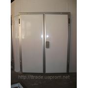 Двери для холодильных камер распашные фото