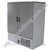 Шкаф холодильный низкотемпературный Модель ШХТН 0.8
