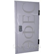 Дверь ППУ-100 (пенополиуретан) фото