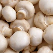 Свежие грибы шампиньоны фотография